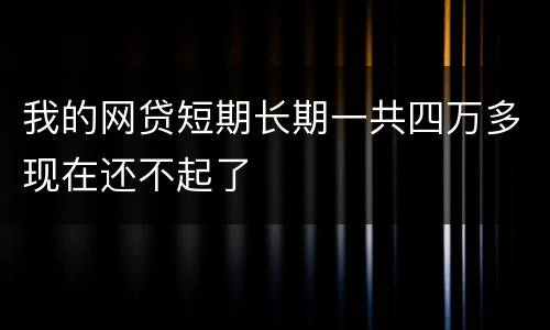 我的网贷短期长期一共四万多现在还不起了