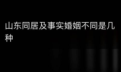 山东同居及事实婚姻不同是几种