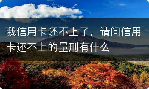 我信用卡还不上了，请问信用卡还不上的量刑有什么