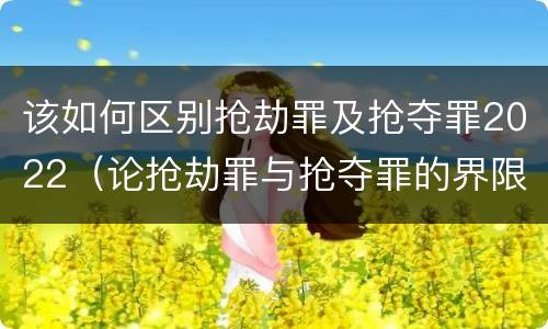 该如何区别抢劫罪及抢夺罪2022（论抢劫罪与抢夺罪的界限）