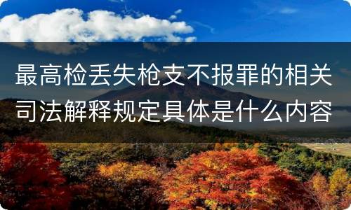 最高检丢失枪支不报罪的相关司法解释规定具体是什么内容