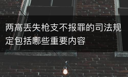 两高丢失枪支不报罪的司法规定包括哪些重要内容
