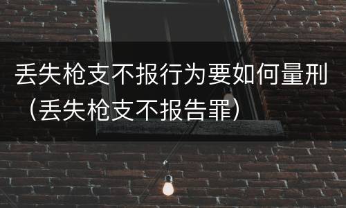 丢失枪支不报行为要如何量刑（丢失枪支不报告罪）