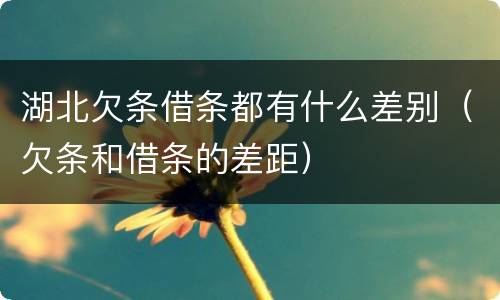 湖北欠条借条都有什么差别（欠条和借条的差距）