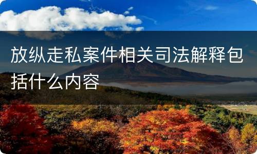 放纵走私案件相关司法解释包括什么内容