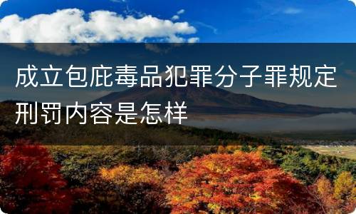 成立包庇毒品犯罪分子罪规定刑罚内容是怎样
