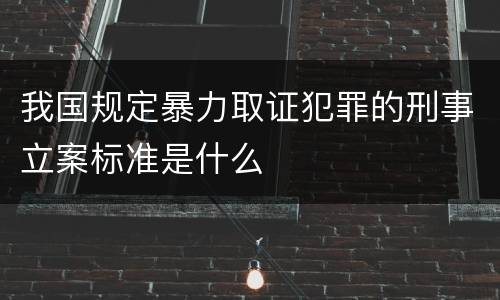 我国规定暴力取证犯罪的刑事立案标准是什么