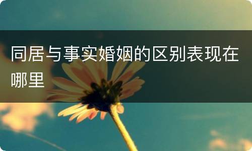 同居与事实婚姻的区别表现在哪里