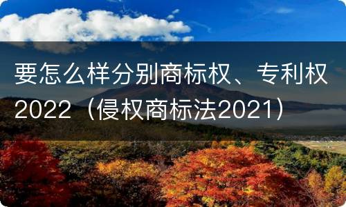 要怎么样分别商标权、专利权2022（侵权商标法2021）