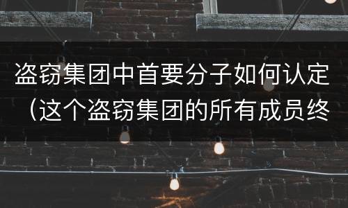盗窃集团中首要分子如何认定（这个盗窃集团的所有成员终于被公安人员一网打尽）