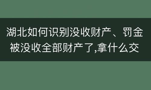湖北如何识别没收财产、罚金 被没收全部财产了,拿什么交罚金