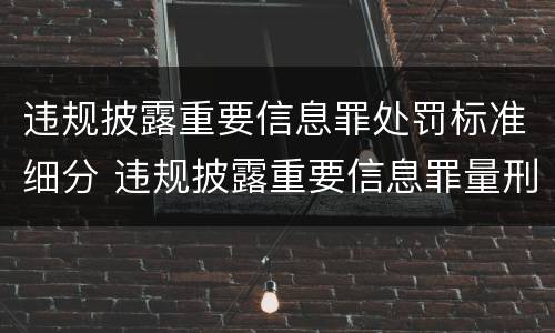 违规披露重要信息罪处罚标准细分 违规披露重要信息罪量刑