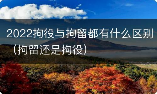 2022拘役与拘留都有什么区别（拘留还是拘役）