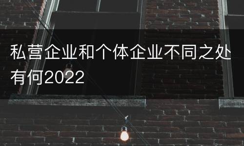 私营企业和个体企业不同之处有何2022