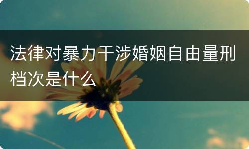 法律对暴力干涉婚姻自由量刑档次是什么