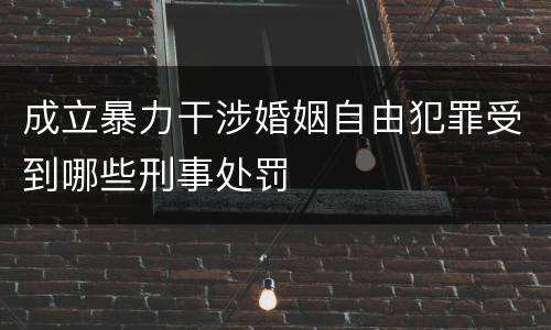 成立暴力干涉婚姻自由犯罪受到哪些刑事处罚