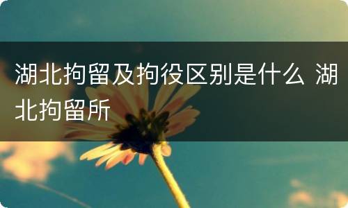 湖北拘留及拘役区别是什么 湖北拘留所