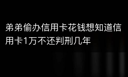 弟弟偷办信用卡花钱想知道信用卡1万不还判刑几年