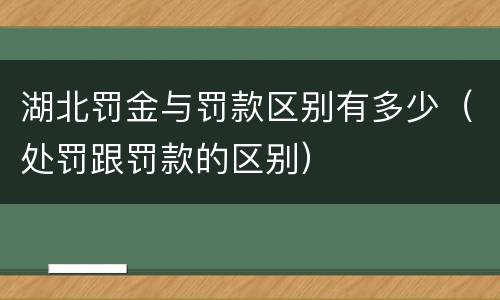 湖北罚金与罚款区别有多少（处罚跟罚款的区别）