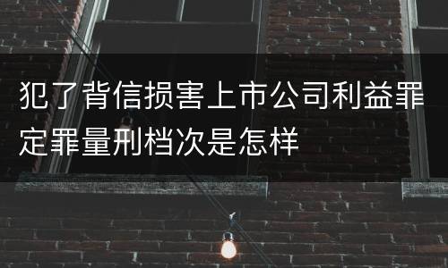 犯了背信损害上市公司利益罪定罪量刑档次是怎样