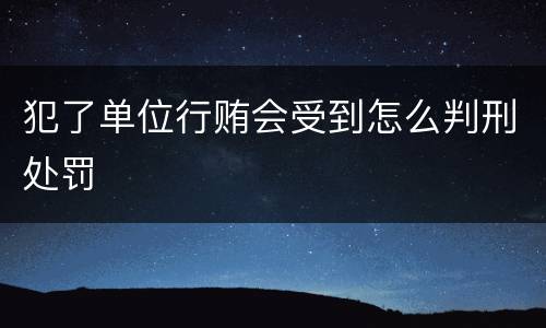 犯了单位行贿会受到怎么判刑处罚