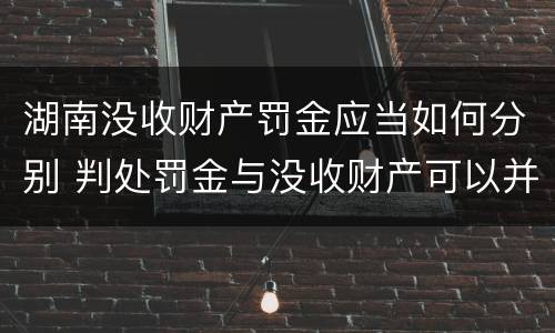 湖南没收财产罚金应当如何分别 判处罚金与没收财产可以并罚吗