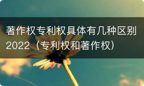 著作权专利权具体有几种区别2022（专利权和著作权）