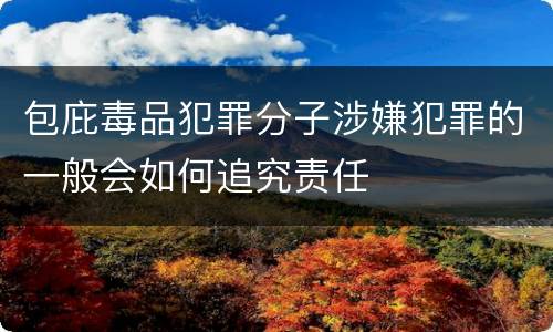 包庇毒品犯罪分子涉嫌犯罪的一般会如何追究责任