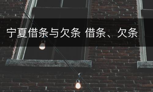 宁夏借条与欠条 借条、欠条