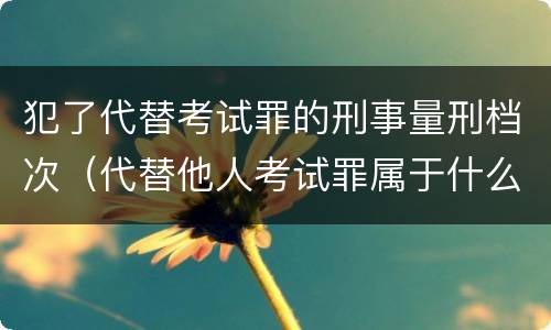 犯了代替考试罪的刑事量刑档次（代替他人考试罪属于什么类犯罪）
