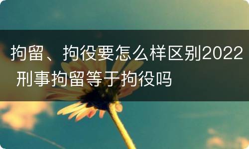 拘留、拘役要怎么样区别2022 刑事拘留等于拘役吗
