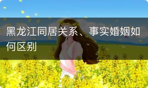 黑龙江同居关系、事实婚姻如何区别
