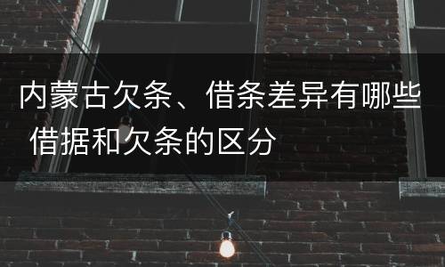 内蒙古欠条、借条差异有哪些 借据和欠条的区分