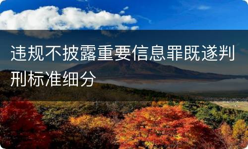 违规不披露重要信息罪既遂判刑标准细分