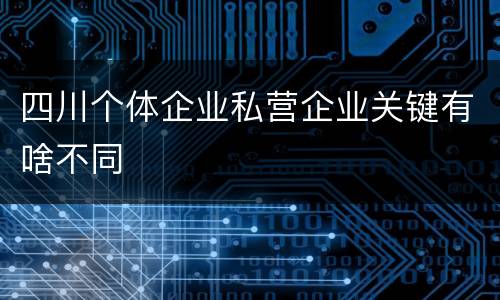 四川个体企业私营企业关键有啥不同