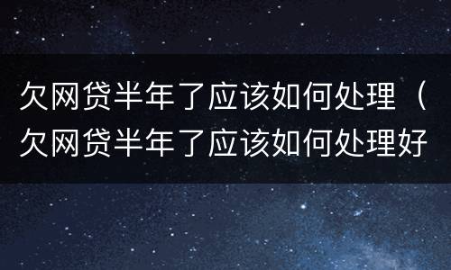 欠网贷半年了应该如何处理（欠网贷半年了应该如何处理好）