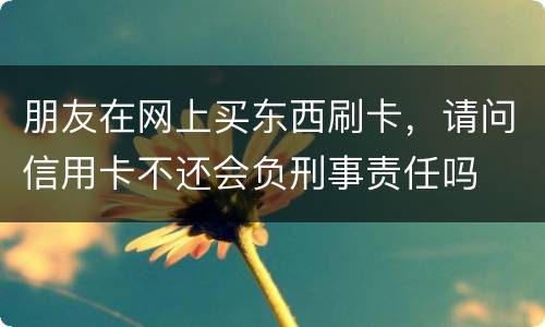 朋友在网上买东西刷卡，请问信用卡不还会负刑事责任吗