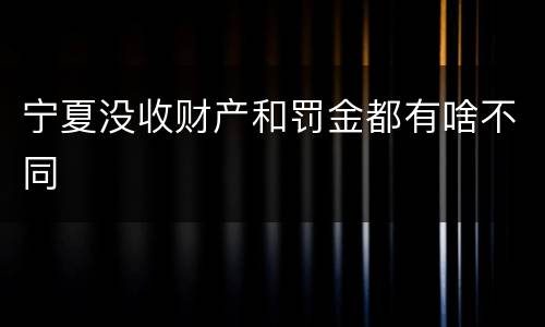宁夏没收财产和罚金都有啥不同