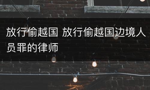 放行偷越国 放行偷越国边境人员罪的律师