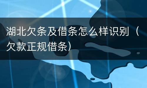 湖北欠条及借条怎么样识别（欠款正规借条）