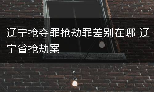 辽宁抢夺罪抢劫罪差别在哪 辽宁省抢劫案