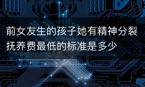 前女友生的孩子她有精神分裂抚养费最低的标准是多少