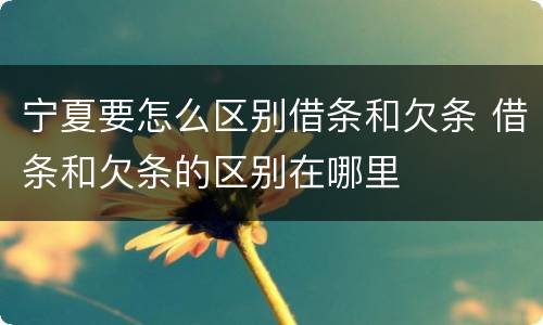 宁夏要怎么区别借条和欠条 借条和欠条的区别在哪里