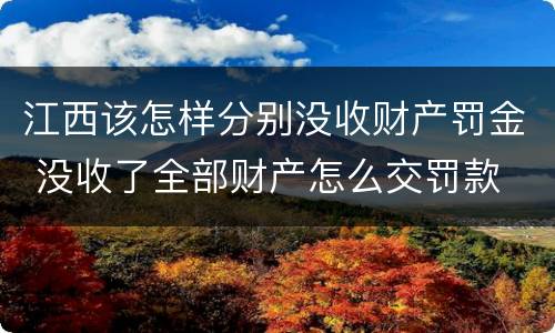 江西该怎样分别没收财产罚金 没收了全部财产怎么交罚款