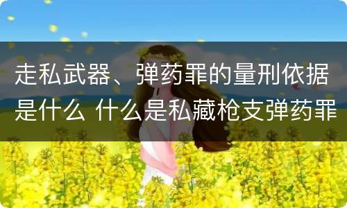 走私武器、弹药罪的量刑依据是什么 什么是私藏枪支弹药罪