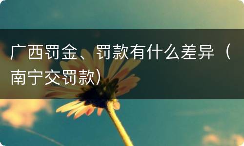 广西罚金、罚款有什么差异（南宁交罚款）
