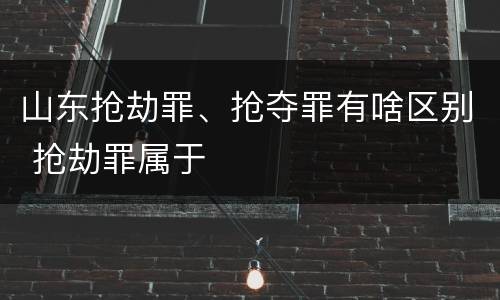 山东抢劫罪、抢夺罪有啥区别 抢劫罪属于
