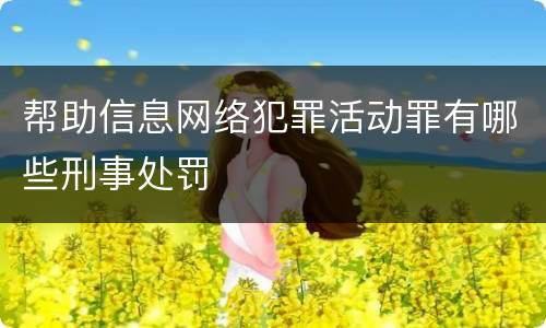帮助信息网络犯罪活动罪有哪些刑事处罚