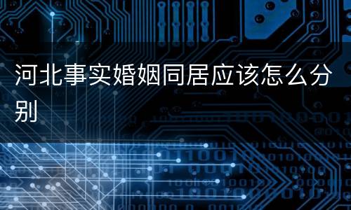 河北事实婚姻同居应该怎么分别