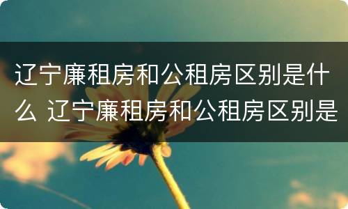 辽宁廉租房和公租房区别是什么 辽宁廉租房和公租房区别是什么呢